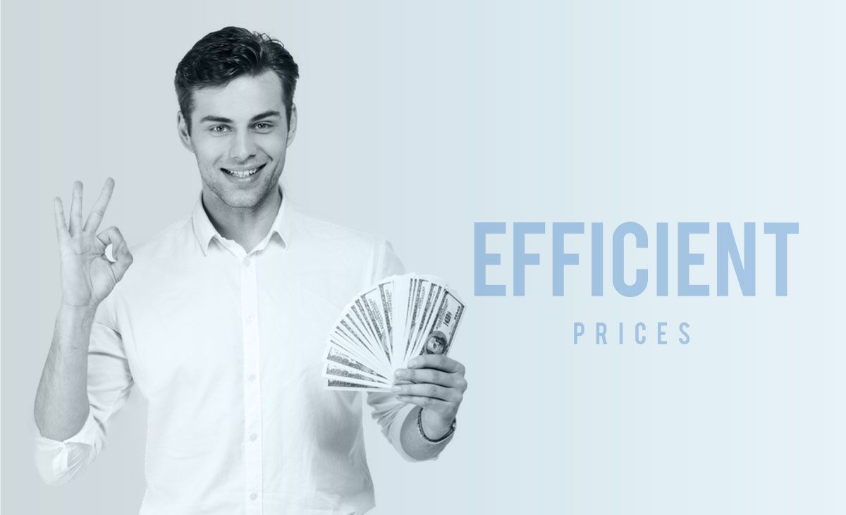 Buying companies at  Efficient Prices